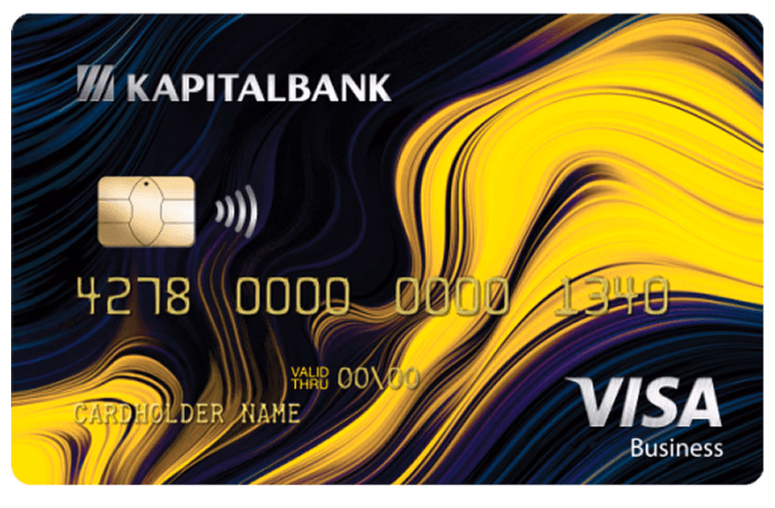 Visa Business